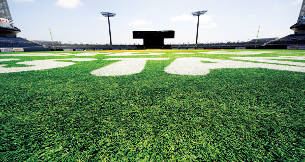 Long-Lasting Artificial Turf, with Just the Right Feel